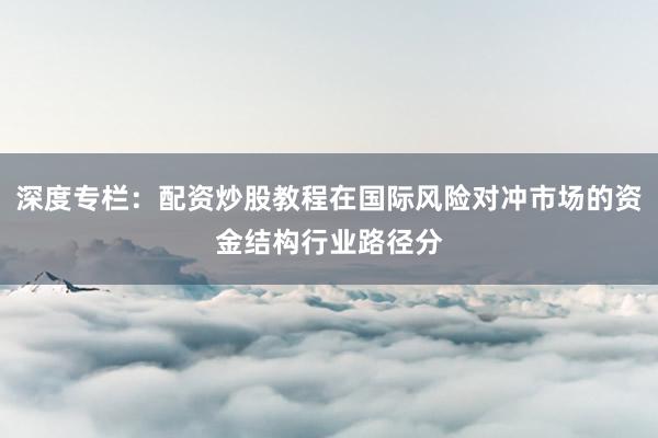 深度专栏：配资炒股教程在国际风险对冲市场的资金结构行业路径分