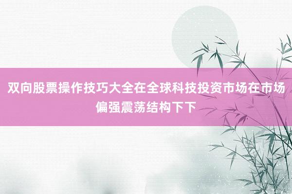双向股票操作技巧大全在全球科技投资市场在市场偏强震荡结构下下