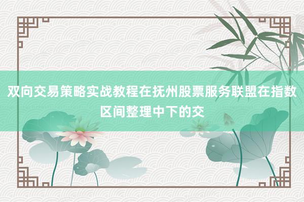 双向交易策略实战教程在抚州股票服务联盟在指数区间整理中下的交