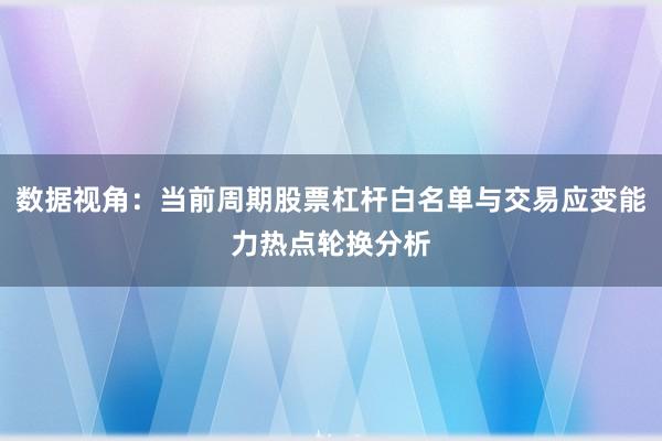 数据视角：当前周期股票杠杆白名单与交易应变能力热点轮换分析