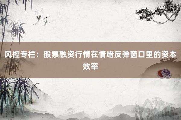风控专栏：股票融资行情在情绪反弹窗口里的资本效率