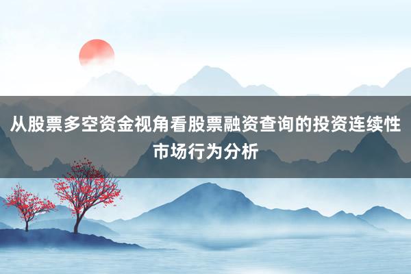 从股票多空资金视角看股票融资查询的投资连续性市场行为分析
