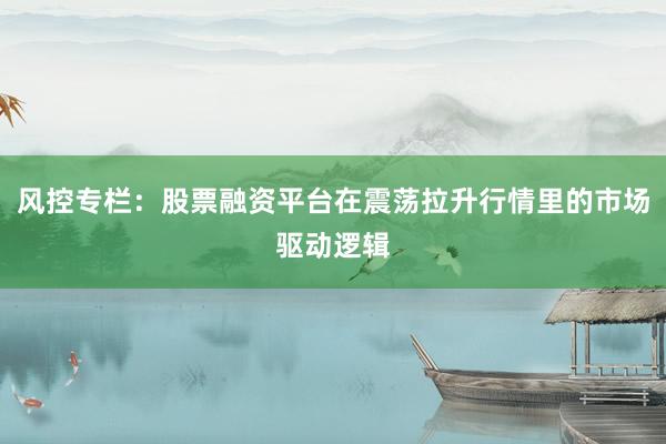 风控专栏：股票融资平台在震荡拉升行情里的市场驱动逻辑