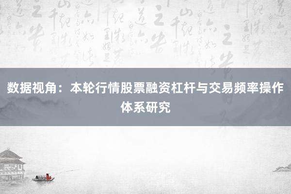 数据视角：本轮行情股票融资杠杆与交易频率操作体系研究