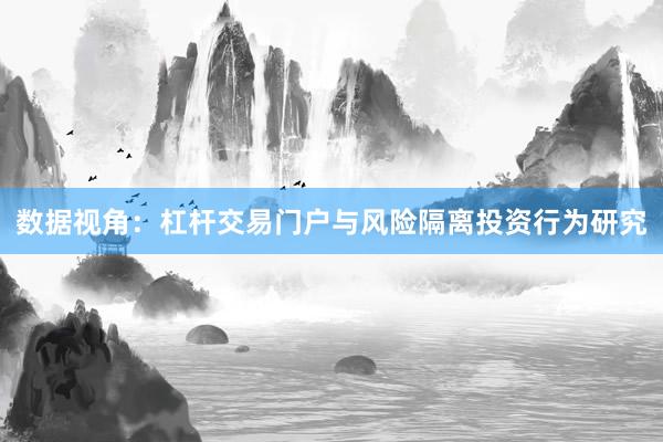 数据视角：杠杆交易门户与风险隔离投资行为研究
