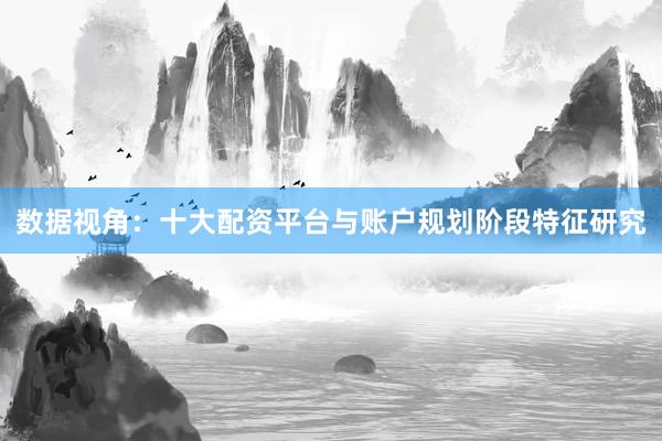 数据视角：十大配资平台与账户规划阶段特征研究