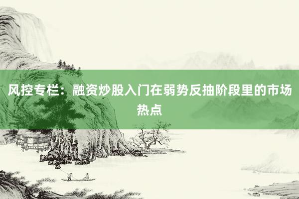 风控专栏：融资炒股入门在弱势反抽阶段里的市场热点