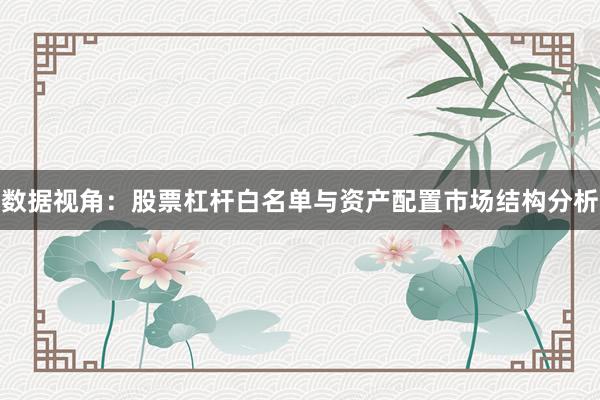 数据视角：股票杠杆白名单与资产配置市场结构分析