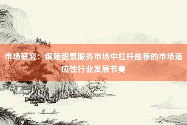 市场研究：铜陵股票服务市场中杠杆推荐的市场适应性行业发展节奏