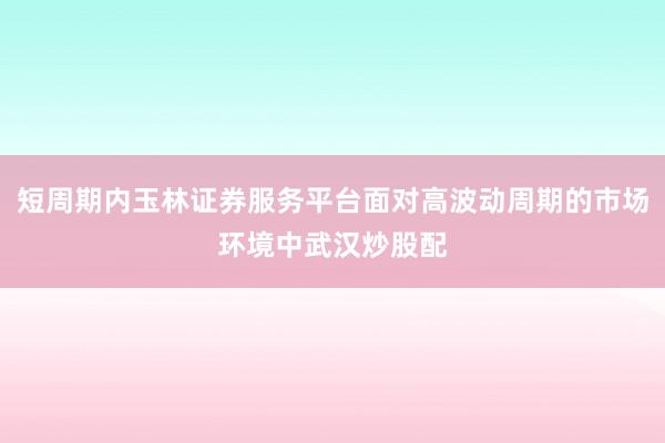 短周期内玉林证券服务平台面对高波动周期的市场环境中武汉炒股配