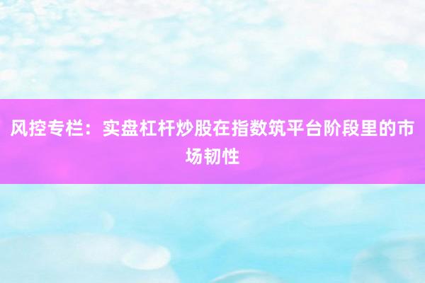 风控专栏：实盘杠杆炒股在指数筑平台阶段里的市场韧性