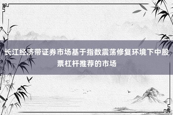 长江经济带证券市场基于指数震荡修复环境下中股票杠杆推荐的市场