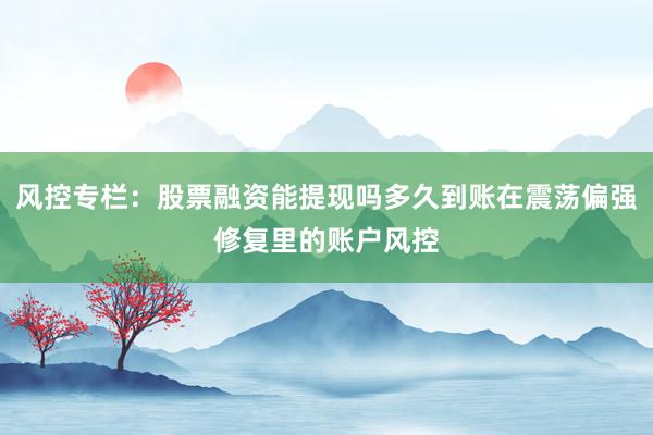 风控专栏：股票融资能提现吗多久到账在震荡偏强修复里的账户风控