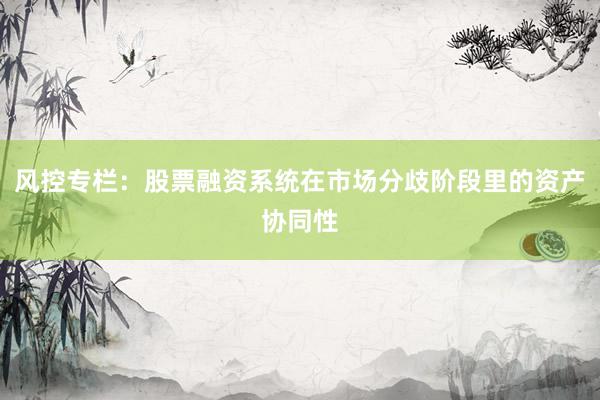 风控专栏：股票融资系统在市场分歧阶段里的资产协同性