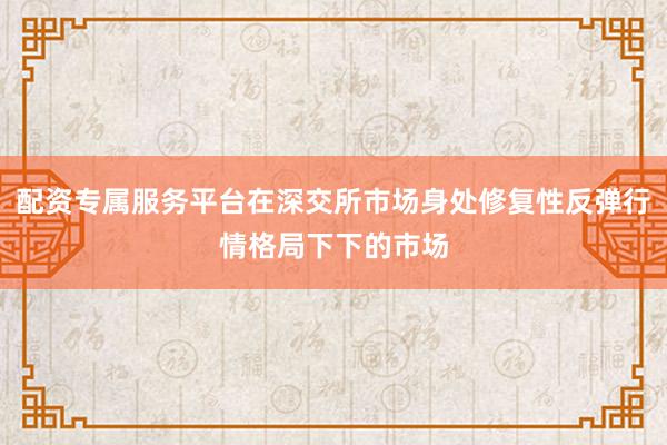 配资专属服务平台在深交所市场身处修复性反弹行情格局下下的市场