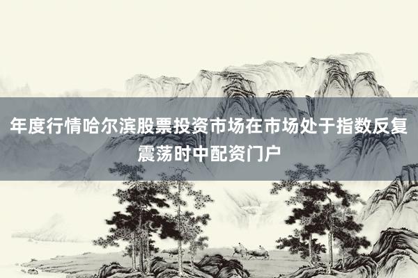年度行情哈尔滨股票投资市场在市场处于指数反复震荡时中配资门户