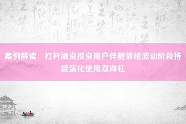 案例解读：杠杆融资投资用户伴随情绪波动阶段持续演化使用双向杠