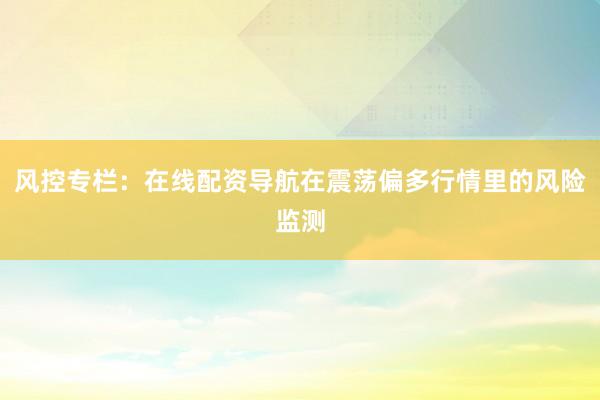 风控专栏：在线配资导航在震荡偏多行情里的风险监测