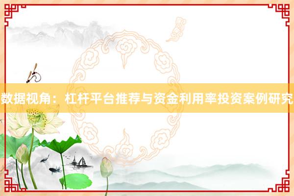 数据视角:杠杆平台推荐与资金利用率投资案例研究