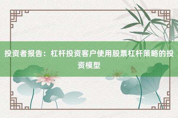 投资者报告：杠杆投资客户使用股票杠杆策略的投资模型