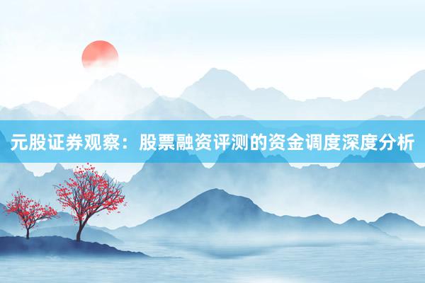 元股证券观察：股票融资评测的资金调度深度分析