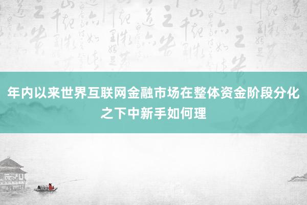 年内以来世界互联网金融市场在整体资金阶段分化之下中新手如何理