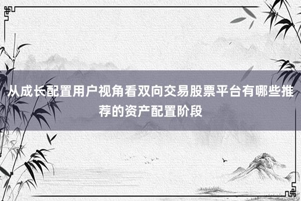 从成长配置用户视角看双向交易股票平台有哪些推荐的资产配置阶段