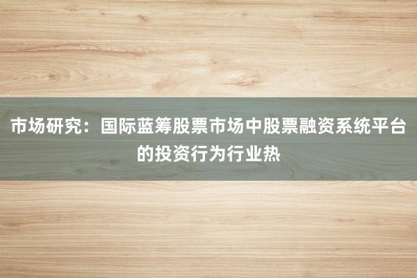 市场研究：国际蓝筹股票市场中股票融资系统平台的投资行为行业热