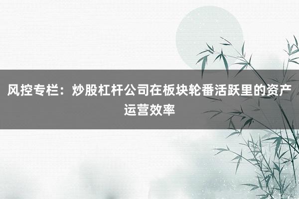 风控专栏：炒股杠杆公司在板块轮番活跃里的资产运营效率