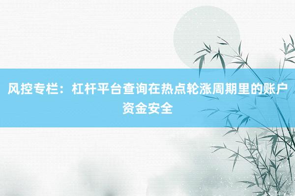 风控专栏：杠杆平台查询在热点轮涨周期里的账户资金安全