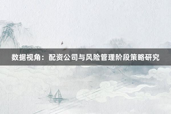 数据视角：配资公司与风险管理阶段策略研究