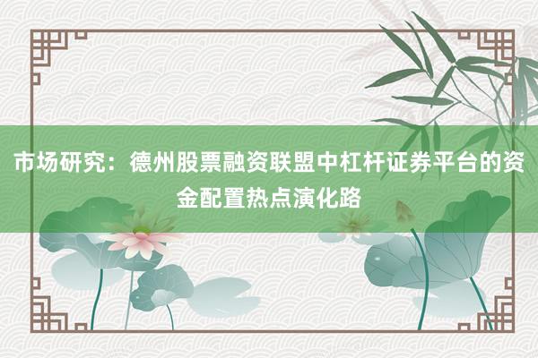 市场研究：德州股票融资联盟中杠杆证券平台的资金配置热点演化路