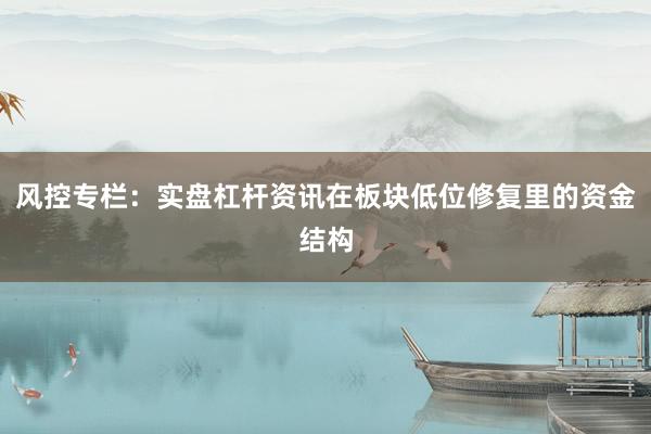 风控专栏：实盘杠杆资讯在板块低位修复里的资金结构