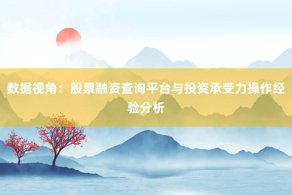 数据视角：股票融资查询平台与投资承受力操作经验分析