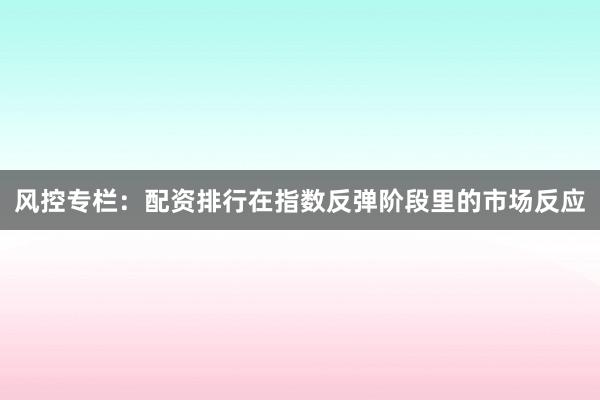风控专栏：配资排行在指数反弹阶段里的市场反应