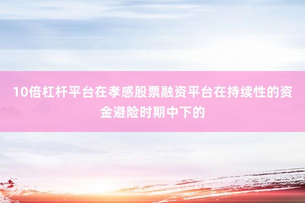 10倍杠杆平台在孝感股票融资平台在持续性的资金避险时期中下的