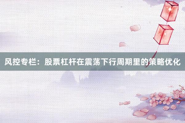 风控专栏：股票杠杆在震荡下行周期里的策略优化