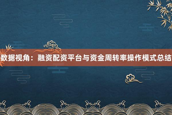 数据视角：融资配资平台与资金周转率操作模式总结