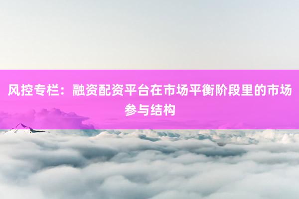 风控专栏：融资配资平台在市场平衡阶段里的市场参与结构