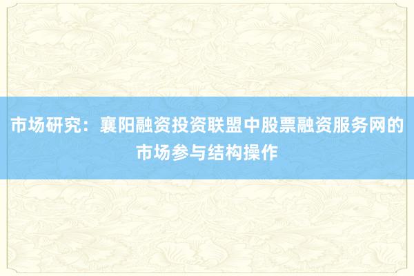 市场研究：襄阳融资投资联盟中股票融资服务网的市场参与结构操作
