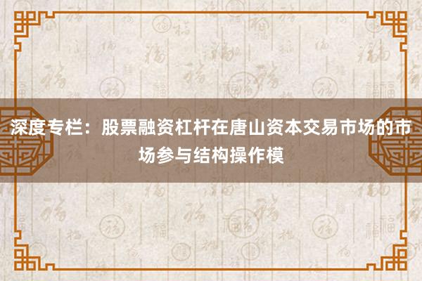 深度专栏：股票融资杠杆在唐山资本交易市场的市场参与结构操作模