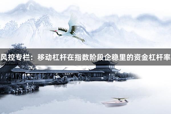 风控专栏：移动杠杆在指数阶段企稳里的资金杠杆率