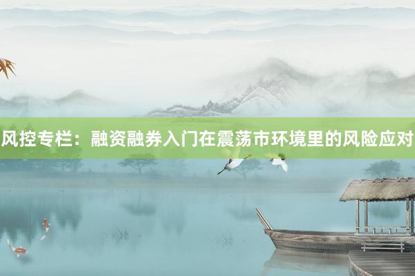 风控专栏：融资融券入门在震荡市环境里的风险应对