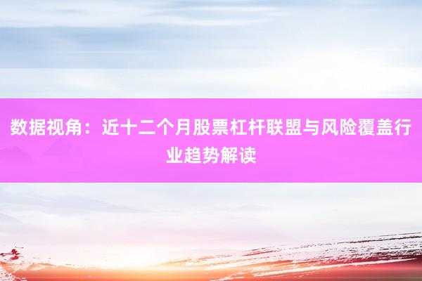 数据视角:近十二个月股票杠杆联盟与风险覆盖行业趋势解读
