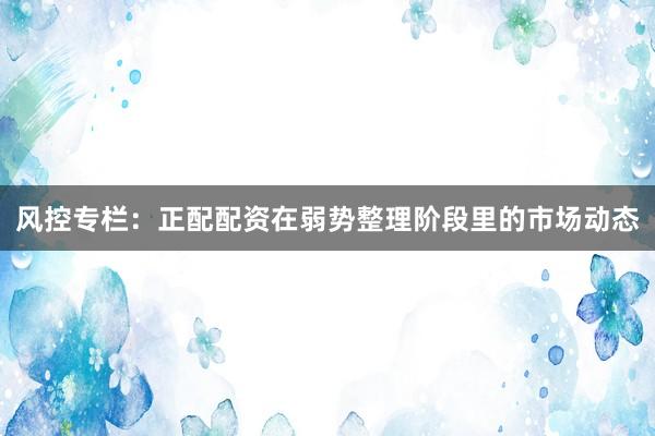 风控专栏：正配配资在弱势整理阶段里的市场动态