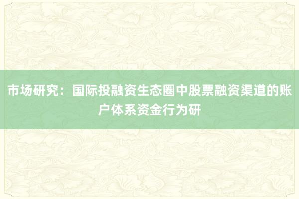 市场研究：国际投融资生态圈中股票融资渠道的账户体系资金行为研