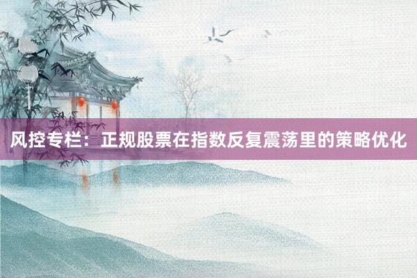 风控专栏：正规股票在指数反复震荡里的策略优化