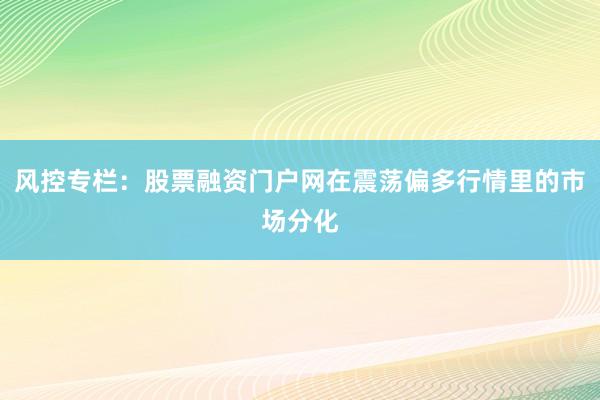 风控专栏：股票融资门户网在震荡偏多行情里的市场分化