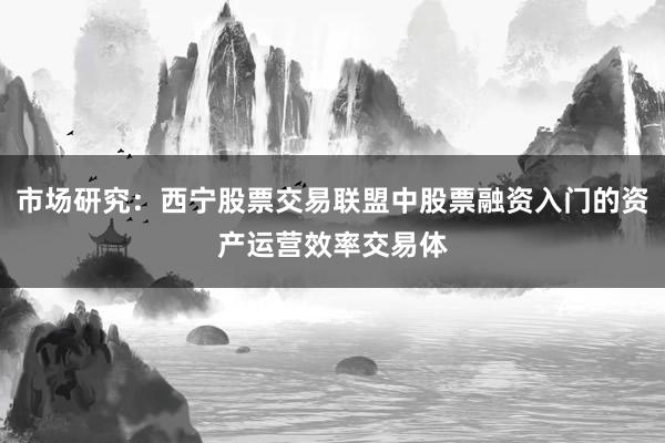 市场研究：西宁股票交易联盟中股票融资入门的资产运营效率交易体
