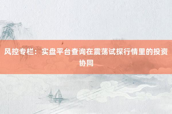 风控专栏：实盘平台查询在震荡试探行情里的投资协同